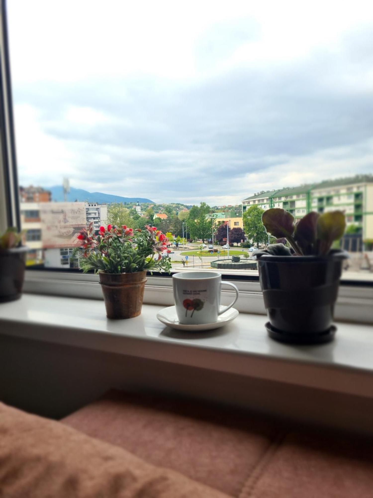 Stan Na Dan Διαμέρισμα Loznica Εξωτερικό φωτογραφία